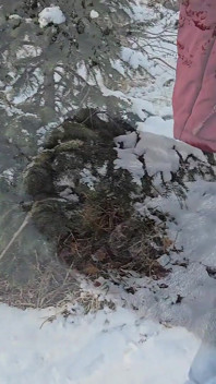 Baise rapide en plein air sur la neige dans un manteau de fourrure blanche-neige