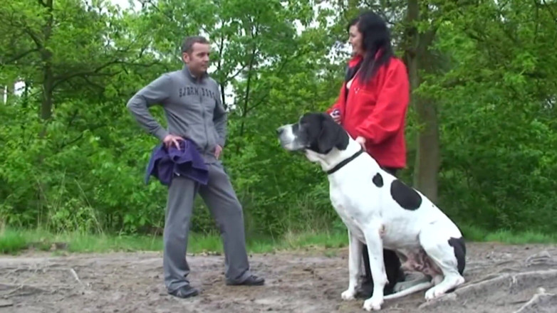 Public Entertainment: Baculatá a nadržená brunetka chodila ke svému mazlíčkovi, když potkala...