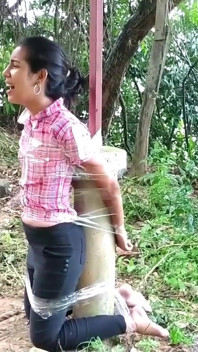 Nancy Drew's Outdoor Bondage Adventure
