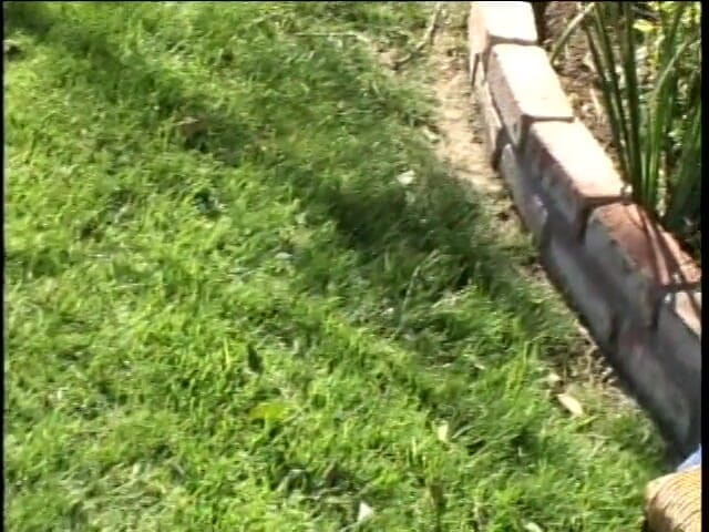 A girls group: Two hot girls enjoy cocks in outdoor