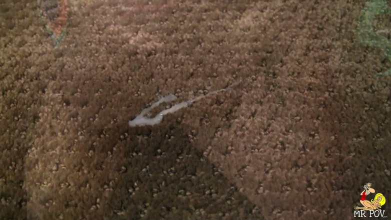 Mr. POV: Ebenová děvka