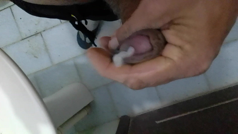 Oscar cor: Mengambil keinginan saya...