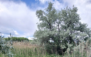 Jasonkw73: Venku to víš