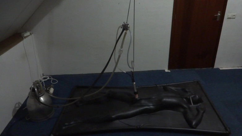 NL Milking: Ordeño vacbed