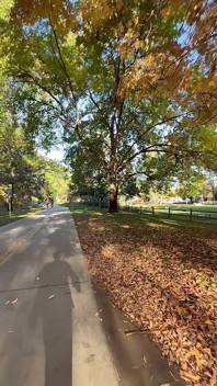 Public Masturbation Boise Idaho Greenbelt Bike Walking Trail