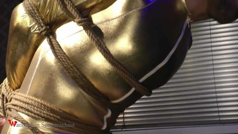 Wanheldvig: Zeus Goldy Bondage Challenge