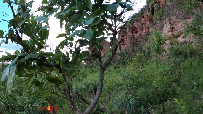 Dread Hot: Travel and fucking on Brazilian paradise