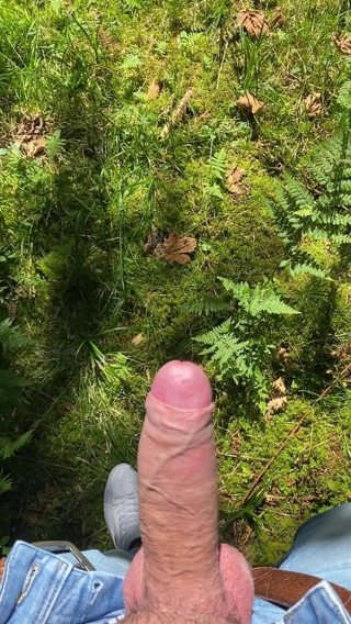 Zaharia: Wanki nella foresta 2
