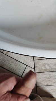 Pissing day