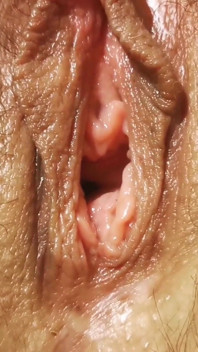 Grool! Hairy Pussy!