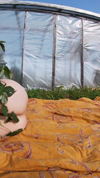 Greenhouse sex adventures part 1