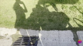 Здорове тріо