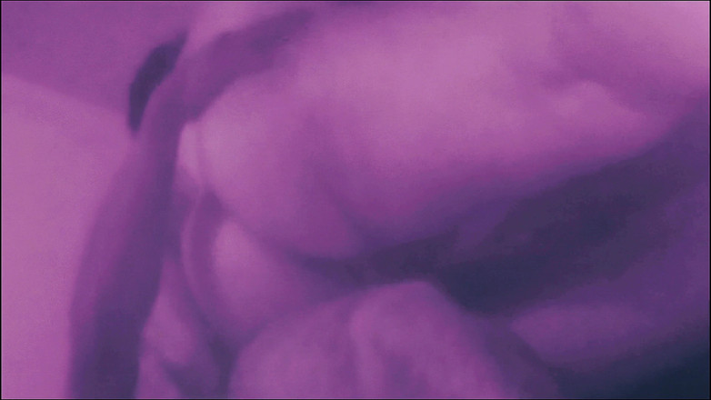 Lily & Theo: Carnaval é um momento para pecado, para me satisfazer em sua...