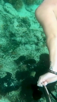 Snorkel Slut: Tight Bikini, Dive Mask & Underwater Fin Tease
