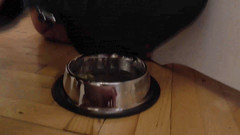 Femdom Austria: Otrokyně si před jídlem líže nohy