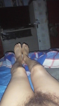 Tamale rậm lông