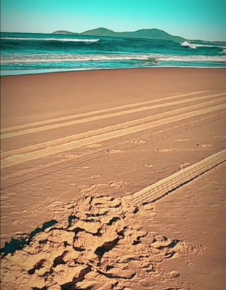 Madaussiehere: Trying on All My Swimsuits on the Beach