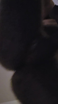 Hey Cumshot