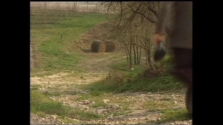 DEUTSCHLAND PORNO TV - our best full movie: Mamuśka Z Owłosioną Cipką była Zadowolona, Gdy Jego Przyjaciel Liże...