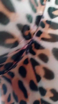 अद्भुत चेहरे पर बैठना देखने का बिंदु महिलाओं का दबदबा लेटेक्स रबर आर्य ग्रांडर