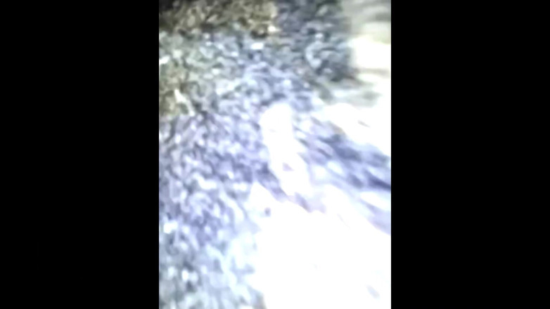 Wondahead21: Afrikan Meat'i seviyorum