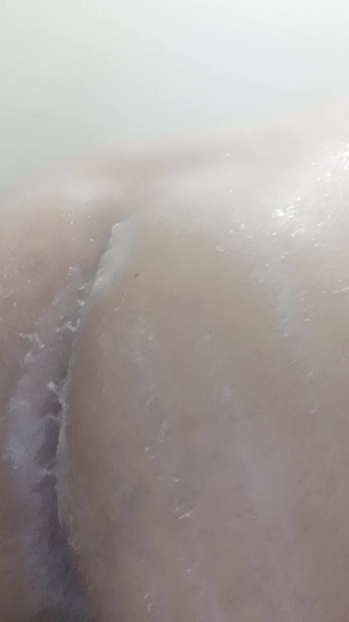 Oscar cor: 샤워 중 존나게 발포성 자지를 빨아주는 Oscarcoronado86의 어린 양