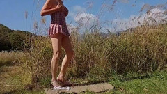 Pai-chan: Pai-chan's Autumn Picnic