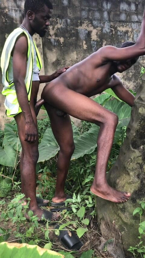 Sexydaddy: Sexe en plein air derrière le palmier se trouve la...