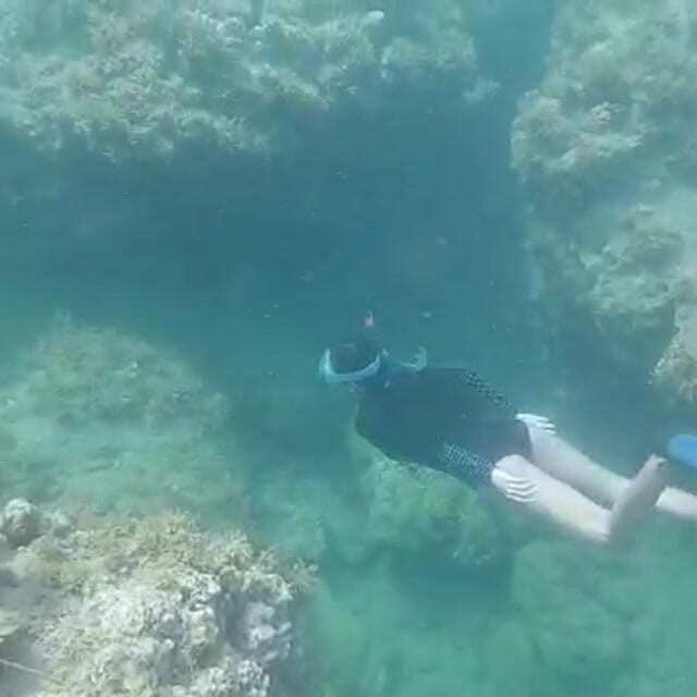 creamberryfairy: Ima Sereia