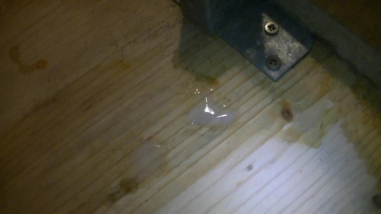 Mark Hannes: Masturbace ve stoje Fleshlight Stand Fuck Masturbace