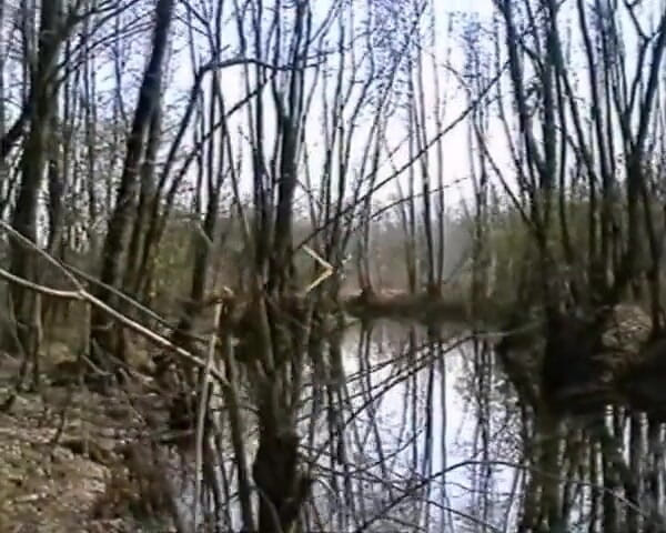 GERMAN PORN CLASSICS: Joder, al aire libre