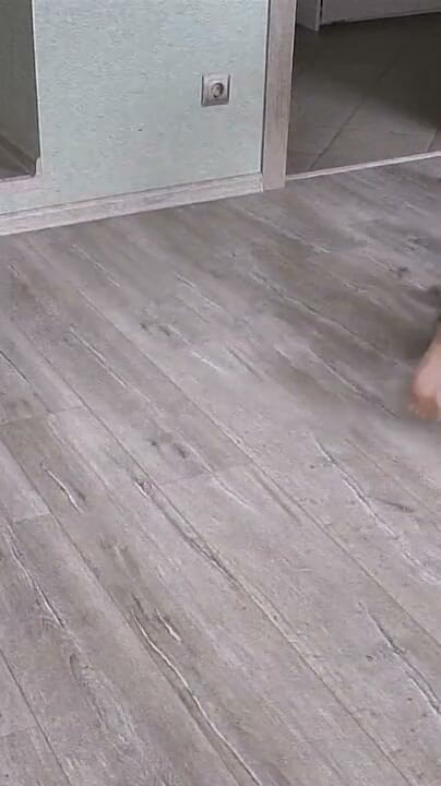 Housepet Walk: Bark, Beg, Fetch & Shoe Licking