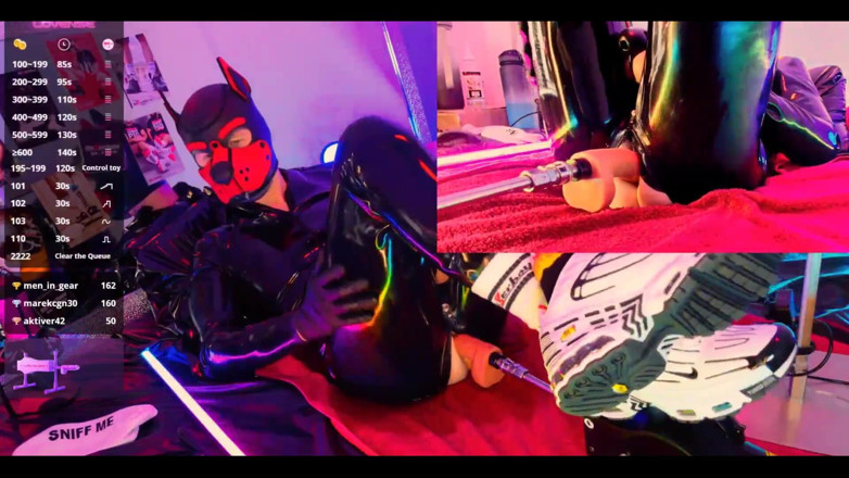 Roman Heart: Nicolaus rubber show avec son chiot