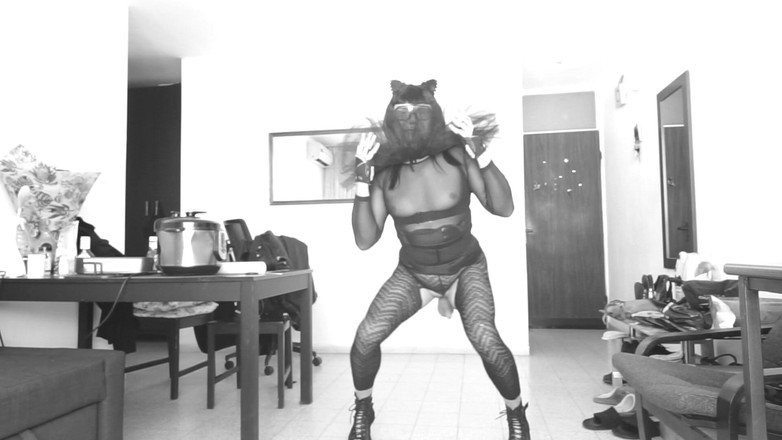 Voyager: Un gatito juguetón y una puta depravada juntos.