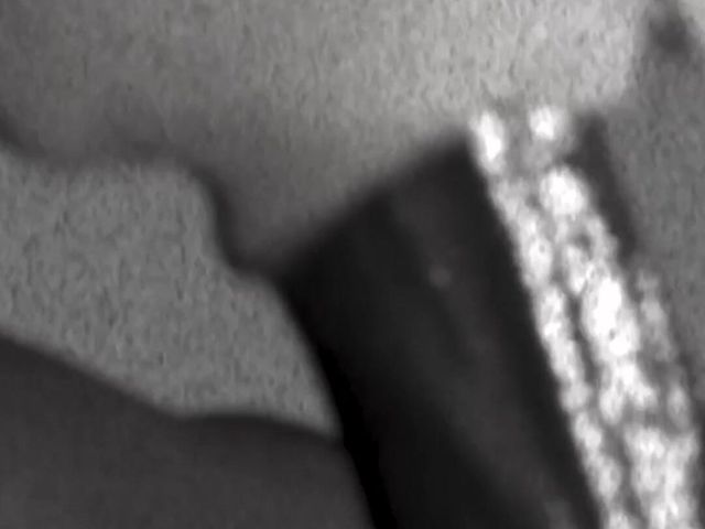 12 Inch Cock Blowjob (Nylon 3D)