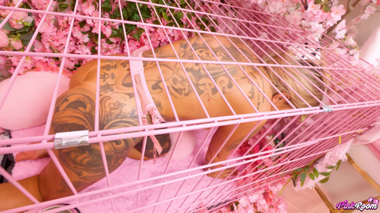 Nasty Sluts Studios: Camera roz ep.32: Dependenta de pulă Stephanie Love este forată